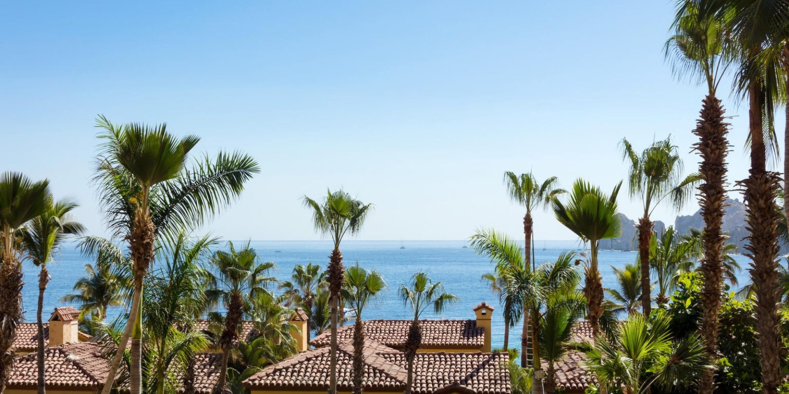 Palms and the older residences at Hacienda Beach Club