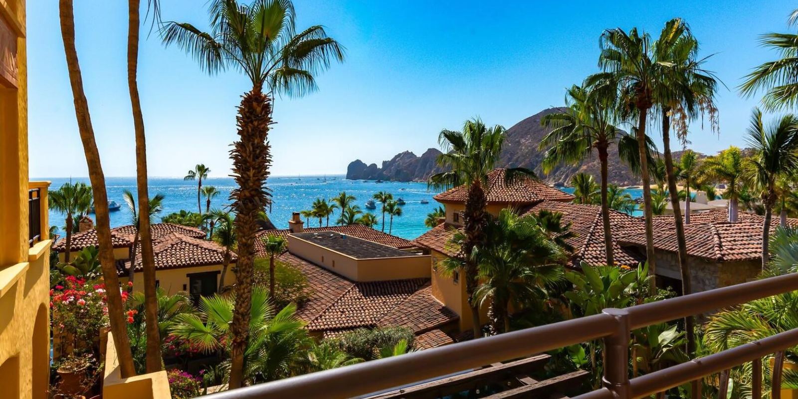 Palms and beach on a clear Los Cabos morning